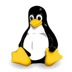 Linux Shared Hosting